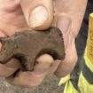 Archaeologists unearth ancient toy in Iceland, disagree on animal figurine’s classification