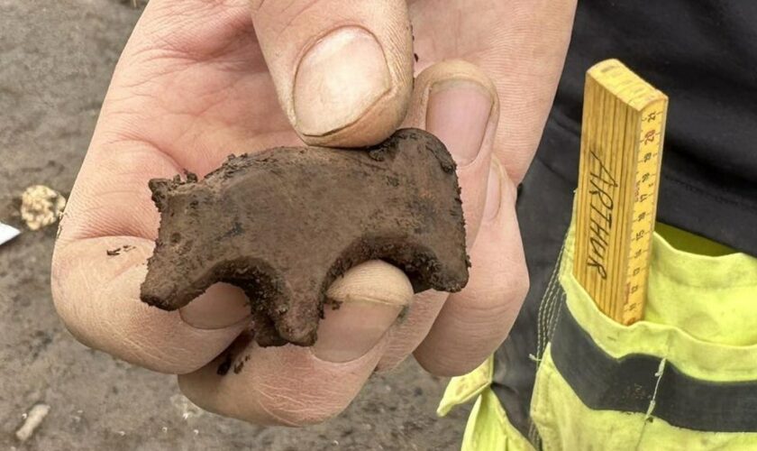 Archaeologists unearth ancient toy in Iceland, disagree on animal figurine’s classification