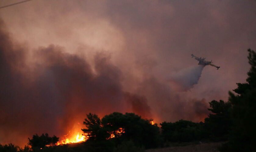 Incendies en Grèce : privée de ses arbres, Athènes menacée par la pollution et les inondations