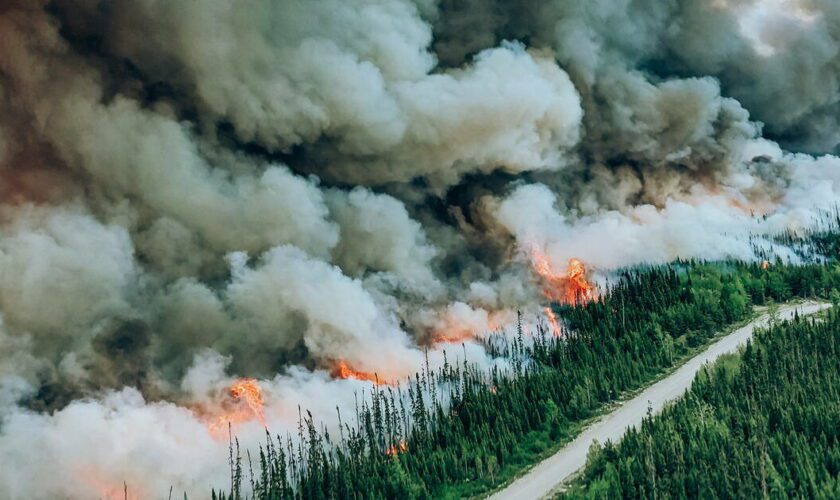 Le Canada est devenu le quatrième plus gros émetteur de CO2 en 2023 à cause de ses feux de forêt