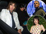 Flight captain who caught married Liam Gallagher having sex with Lily Allen in first class cabin reveals how randy stars were so caught up in the throes of passion they ignored requests to stop