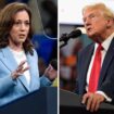 All the lies Trump has told about Harris – and her claims about him