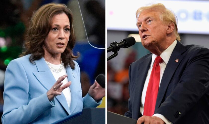 All the lies Trump has told about Harris – and her claims about him