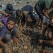 Palestinian children search for food in Deir al-Balah. Pic: AP