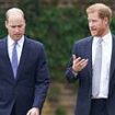 Prince William and Harry's 'reunion': Duke of Sussex joined his brother at uncle's funeral after secret dash to the UK from LA... but did they speak?