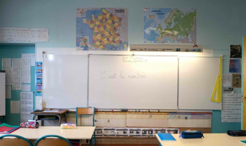 Rentrée scolaire 2024 et scolarisation des élèves en situation de handicap : « Tout le monde est à la peine sur le sujet de l’école inclusive »