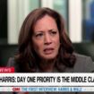 Kamala Harris offers vague 'Day 1' Oval Office plan in CNN interview: 'A number of things'