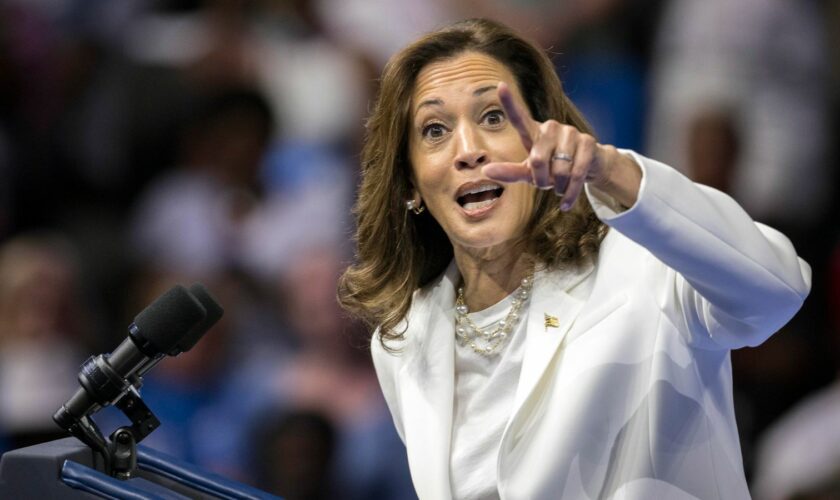 Kamala Harris. Pic: AP