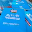 Die AfD kann laut Umfrage bei der Wahl in Thüringen damit rechnen, stärkste Partei zu werden. Foto: Matthias Bein/dpa