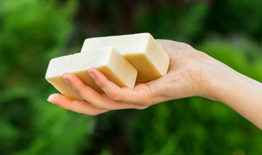 Certaines personnes mettent du savon solide dans leur jardin. Elles ont bien raison quand on voit le résultat