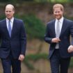 Royal family news: Prince Harry secretly returns to UK for frosty William ‘reunion’ at their uncle’s funeral