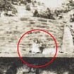 Who was the four-year-old girl who fell into the tiger enclosure at Dudley zoo? Family hope to solve mystery of incredible 1937 photo