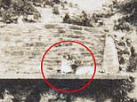 Who was the four-year-old girl who fell into the tiger enclosure at Dudley zoo? Family hope to solve mystery of incredible 1937 photo