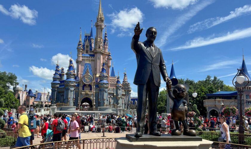 The Magic Kingdom theme park in Orlando. File pic: Reuters