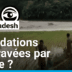 Inondations au Bangladesh : l’Inde accusée d'aggraver la situation