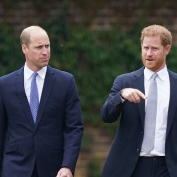 Harry and William did not exchange word at funeral despite being 'five yards apart'