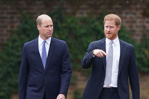 Harry and William did not exchange word at funeral despite being 'five yards apart'