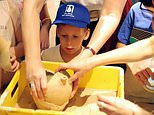 Pictured: The four-year-old boy who accidentally smashed priceless 3,500-year-old jar as he is invited back to see it being mended