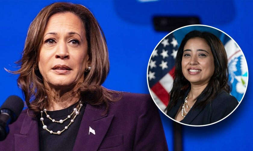 Harris campaign's Arab-American outreach director said 'Zionists' are 'controlling a lot' of American politics