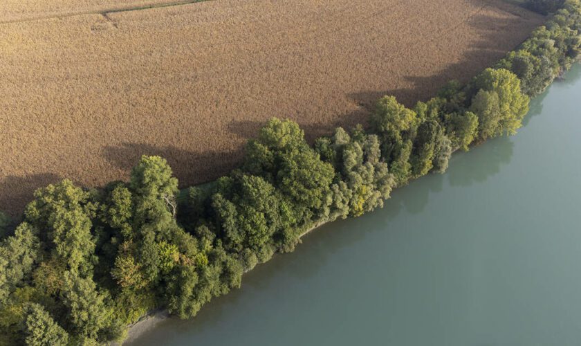 Rhônergia : l’Etat abandonne le projet contesté de barrage sur le Rhône