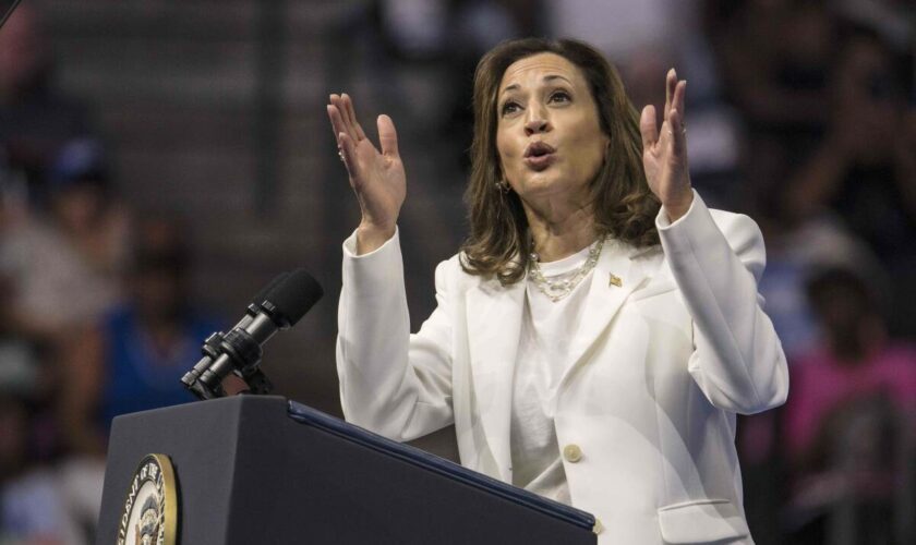 Présidentielle américaine 2024 : Trump, fracturation hydraulique, guerre à Gaza… Ce qu’a dit Kamala Harris lors de sa première interview de candidate