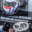 Radikale Linke: Wie die Antifa an der AfD verzweifelt