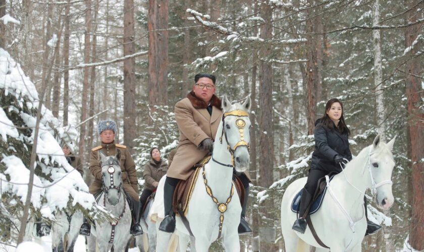 Vladimir Putin ‘gifts Kim Jong-un 24 purebred horses in exchange for artillery shells used in Ukraine war’