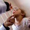 Début de la campagne de vaccination contre la polio dans le centre de la bande de Gaza