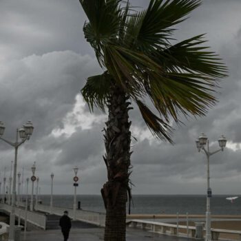 Orages : vigilance orange pour sept départements de l’ouest de la France