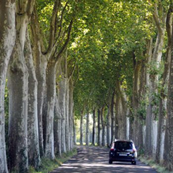 En France, la sécurité routière progresse, malgré des campagnards pressés