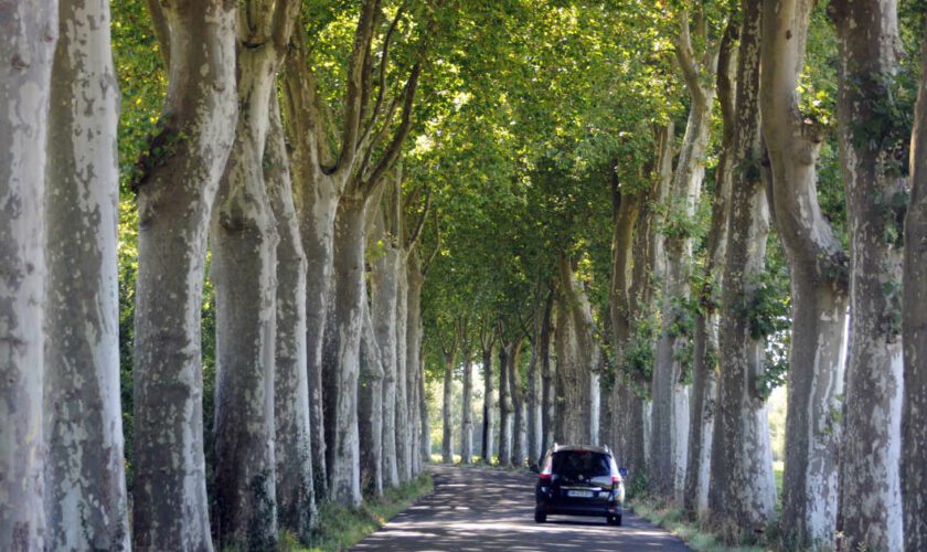 En France, la sécurité routière progresse, malgré des campagnards pressés