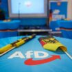 Landtagswahlen: Thüringer AfD sagt Wahlparty ab