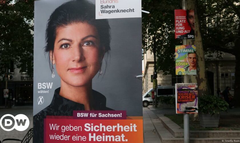 'A one-woman show:' The Sahra Wagenknecht phenomenon