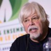 Arrestation de Paul Watson : le Japon demande au Groenland l’extradition du militant