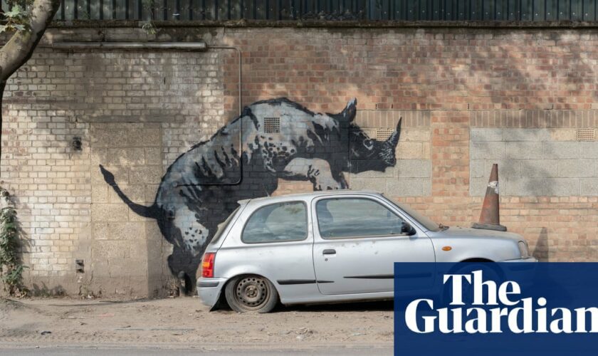 Banksy unveils rhino as eighth artwork in animal-themed London series