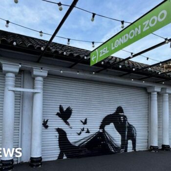 Banksy's latest work appears on London Zoo gates