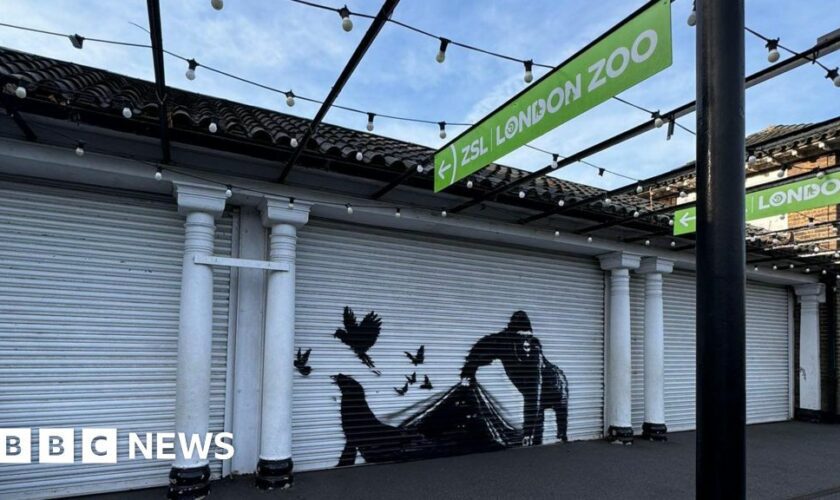 Banksy's latest work appears on London Zoo gates