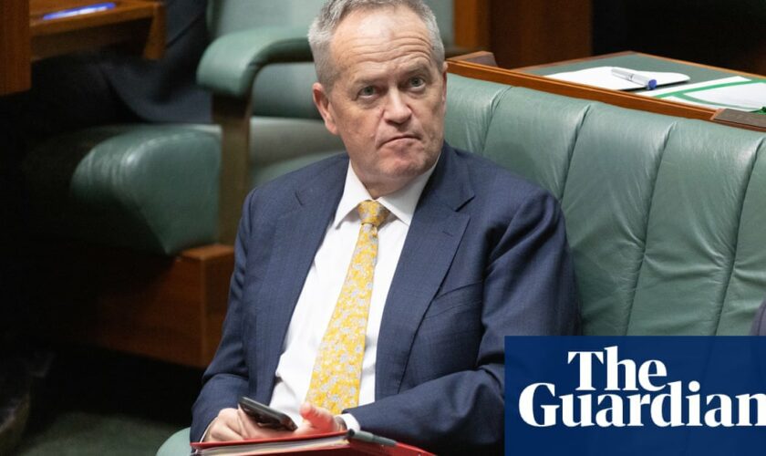 Bill Shorten accuses Greens of NDIS misinformation as he tries to reassure participants over new laws