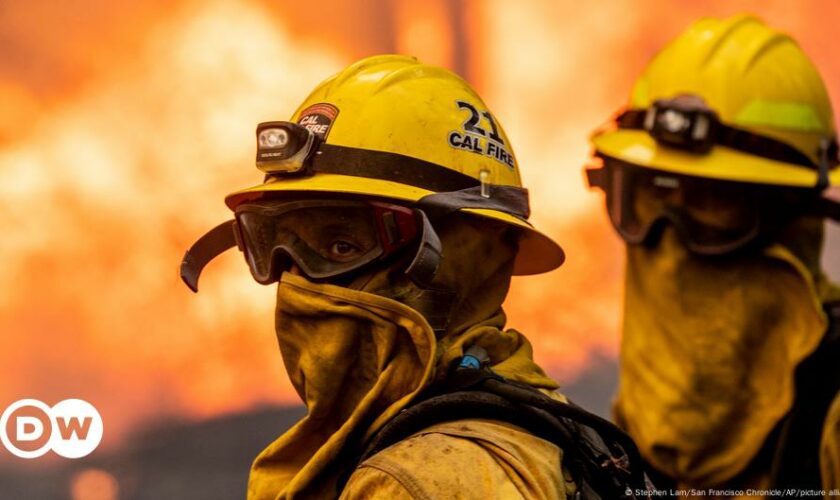 Brandherd Klimawandel: Wie verhindert man Waldbrände?