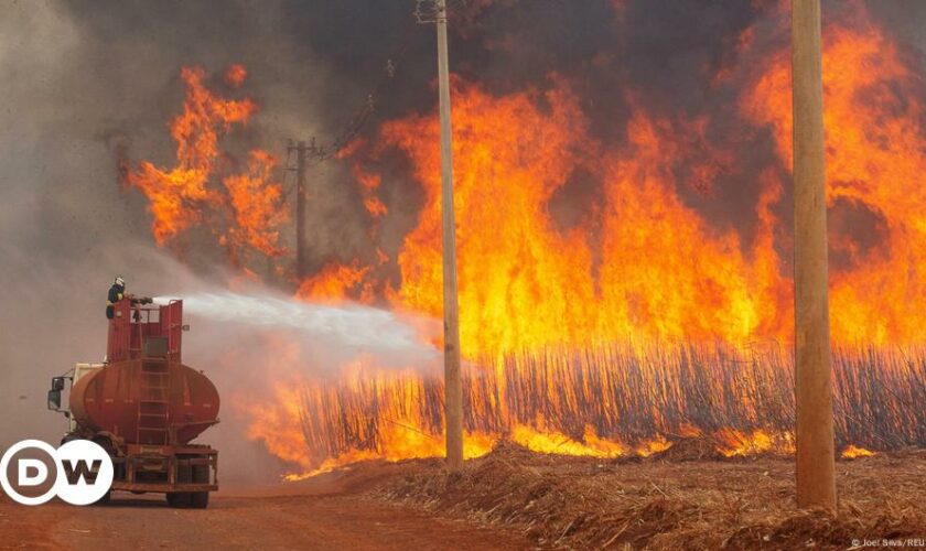 Brazil authorities declare 'war' on blazing wildfires