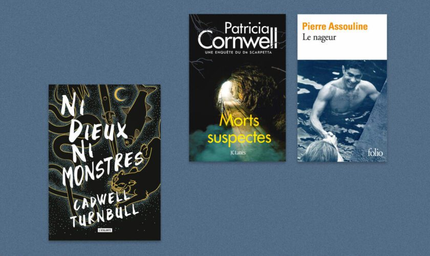 Caldwell Turnbull, Patricia Cornwell, Pierre Assouline… Notre sélection livres de la semaine