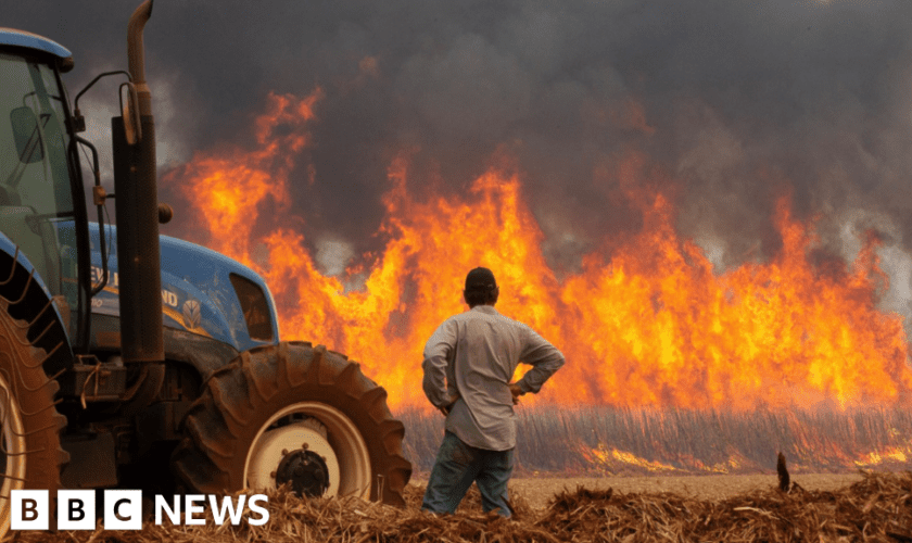 Cities on high alert as Brazil wildfires kill two