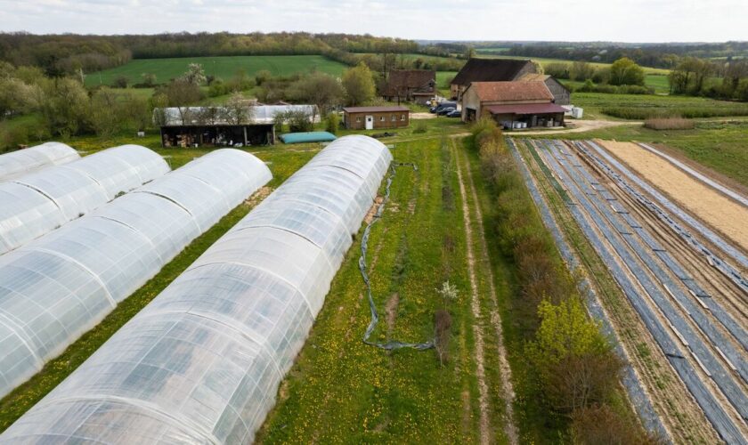 « Contrat rempli » ou « désastre » ? Un an après, la ferme achetée par Villejuif dans l’Yonne continue de diviser