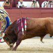 Demasiada presentación para una novillada, y demasiada poca raza para Madrid