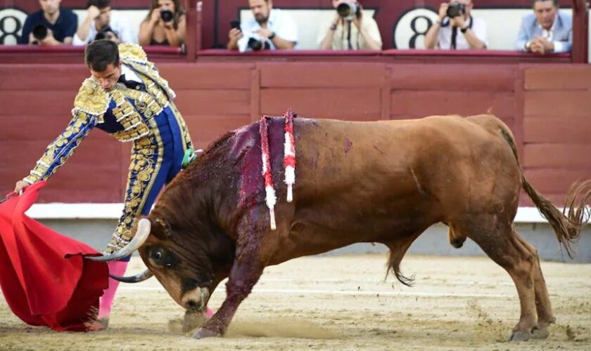 Demasiada presentación para una novillada, y demasiada poca raza para Madrid