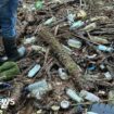 Dumping of Bible verse bottles in river seemingly stops