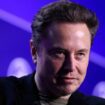 Elon Musk affirme que son interview avec Donald Trump sur X est perturbée par une cyberattaque «massive»