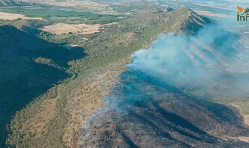 Extinguido el incendio forestal declarado el viernes en Tobarra