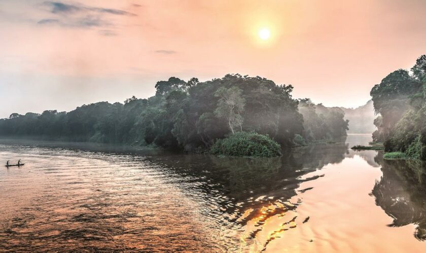 Forêt impénétrable, bancs de sable, oiseaux remarquables… Au Congo, croisière secrète au fil de l’eau