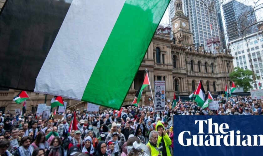 Government will consider pathways for Palestinians fleeing Gaza to stay longer in Australia, Burke says